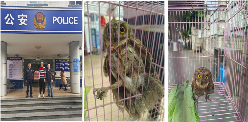 hoHX_1743557304993004795.png 11.png